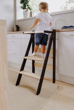 Įkelti vaizdą į galerijos rodinį, Sulankstomas reguliuojamo aukščio virtuvės bokštelis (4 spalvos + DINO)