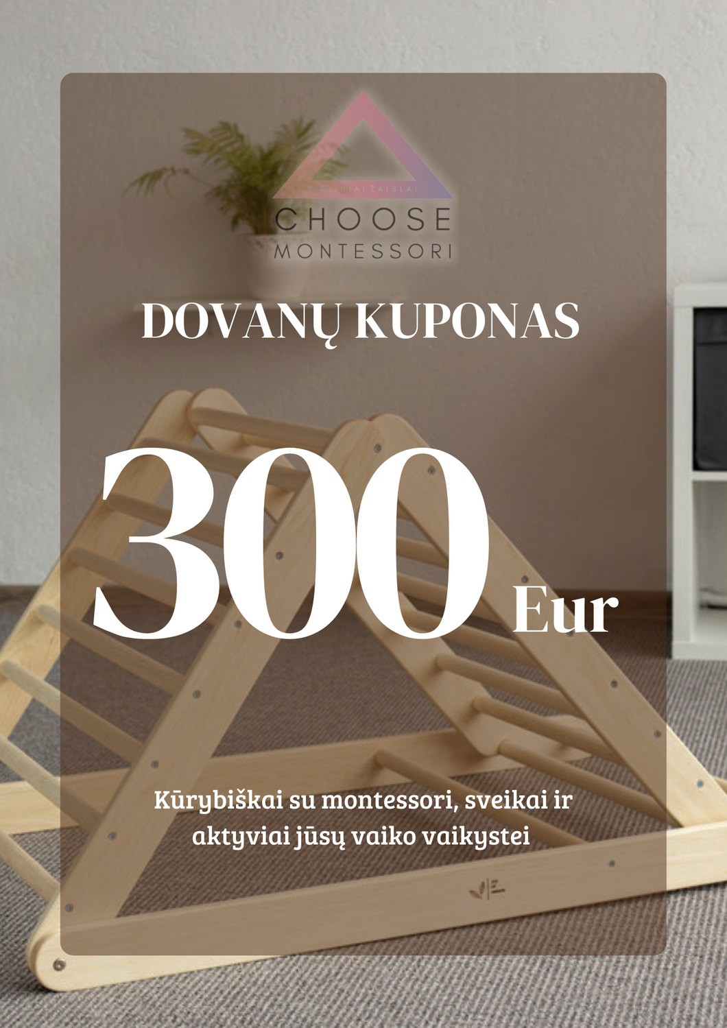 300 EUR DOVANŲ KUPONAS